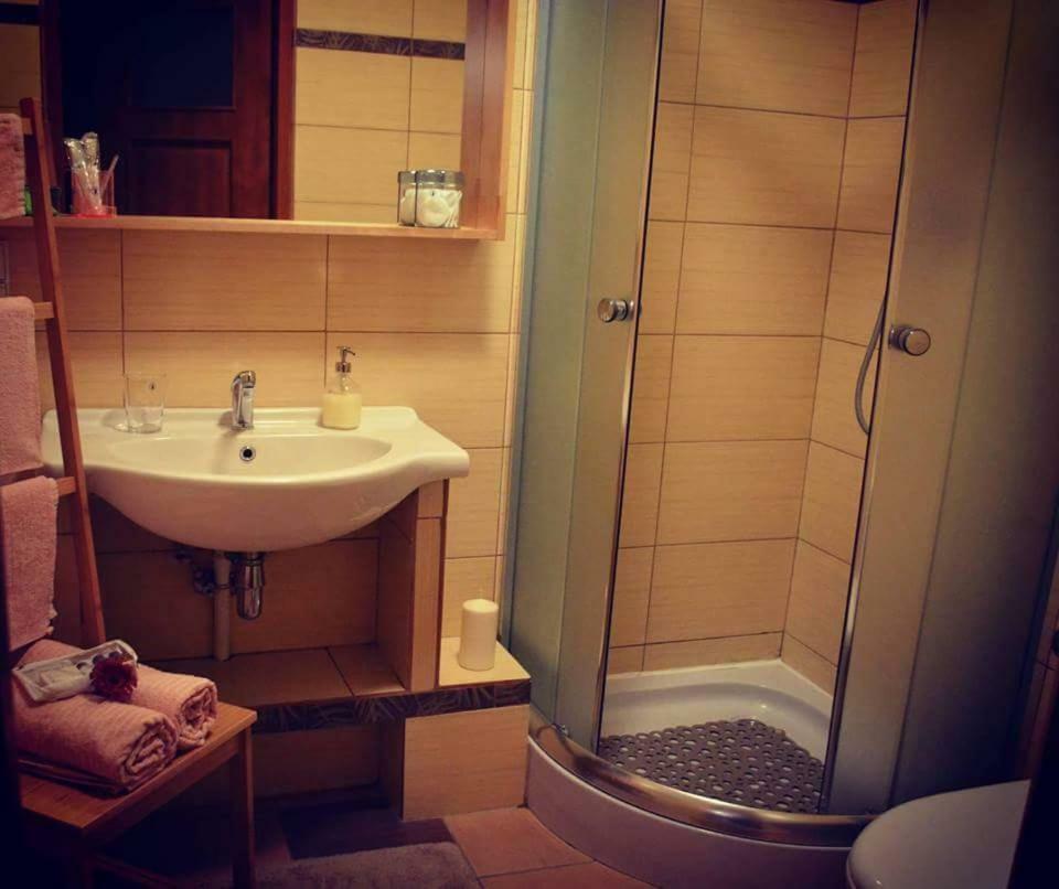 Apartamenty No3 Paczkow Zewnętrze zdjęcie
